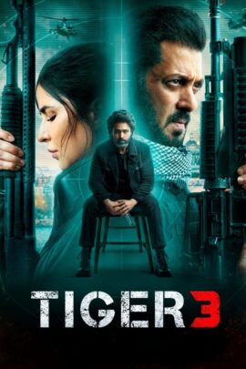 Tiger 3 2023 Hindi 480p 720p 1080p